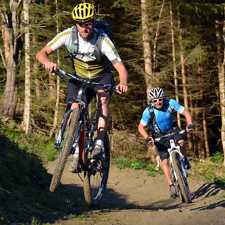 酒店 尼德瑞特尔酒店 3*