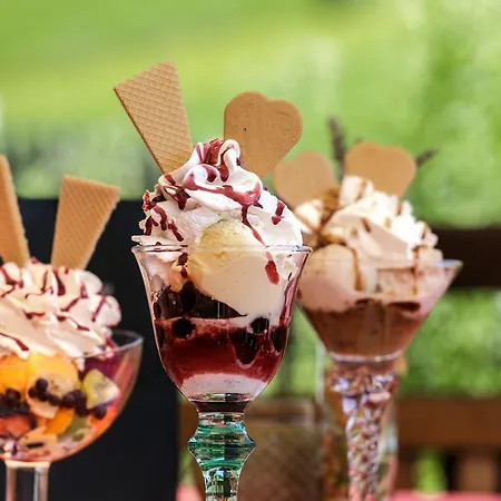 酒店 尼德瑞特尔酒店 玛丽亚埃姆安斯泰内嫩米尔